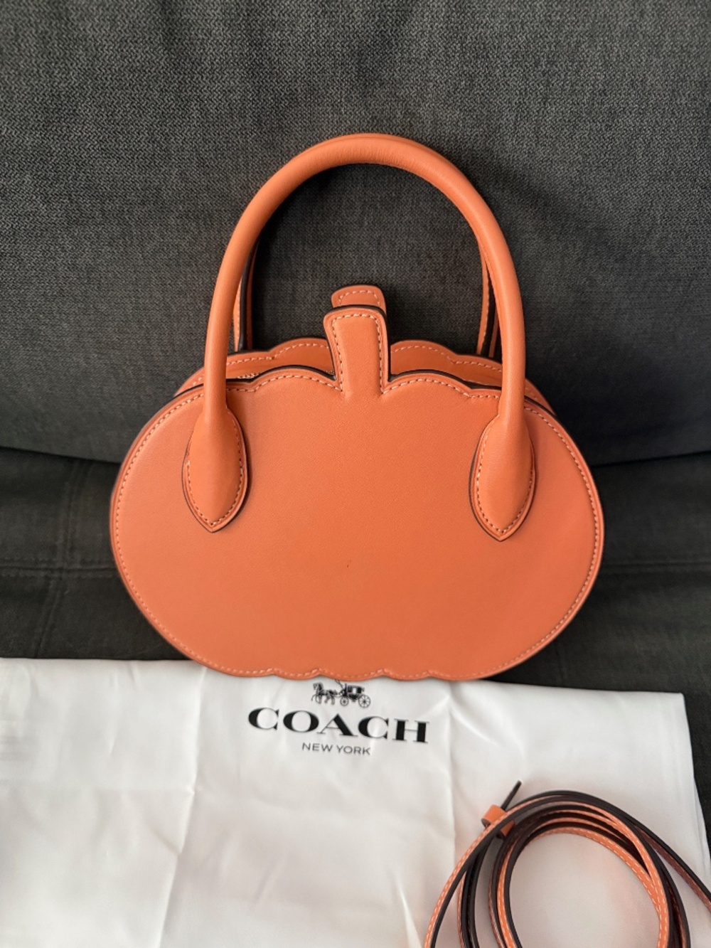 Coach Pumpkin Bag - Picture 4 of 12